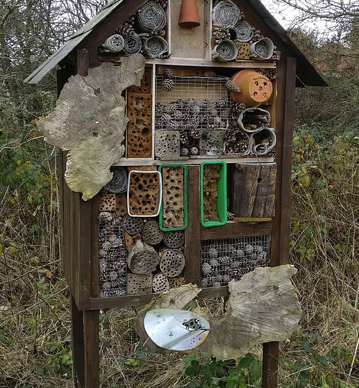 bird feeder