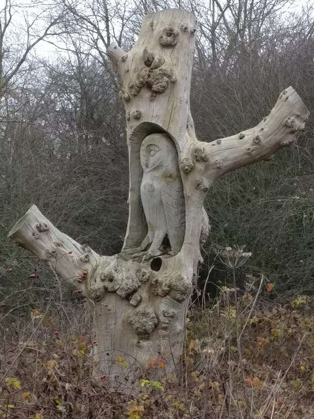 owl carved into a tree